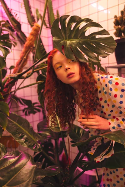 Ciddi genç redhead kıvırcık Bayan hela yakınındaki kafede ayakta