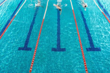 Üç erkek yüzücüler karşı yarış