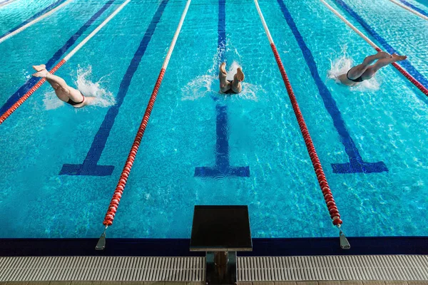 Vue arrière de trois nageurs mâles plongeant dans une piscine — Photo