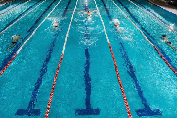 Cinq nageurs en course les uns contre les autres dans une piscine — Photo
