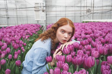 Kız Lale üzerinde yalan