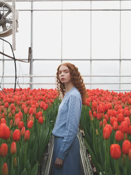 Girl between red tulips — Stock Photo, Image