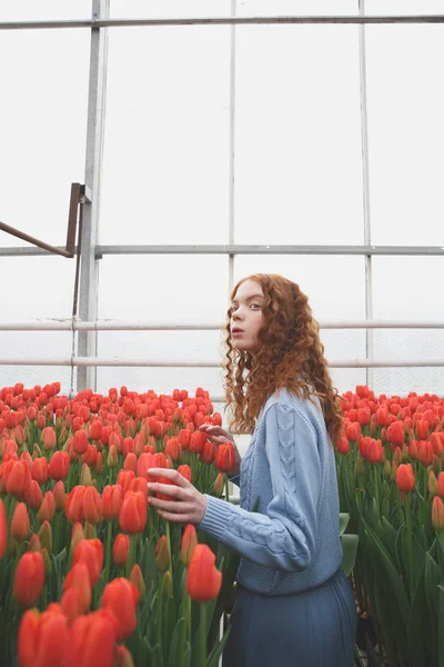 Girl looking up in orangery — Stock Photo, Image