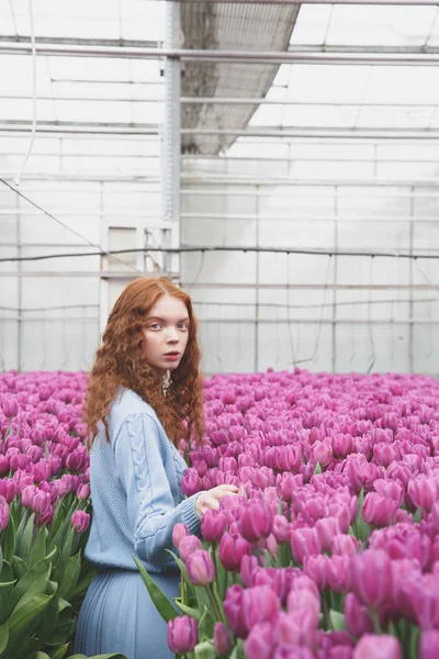 De pie entre tulipanes — Foto de Stock