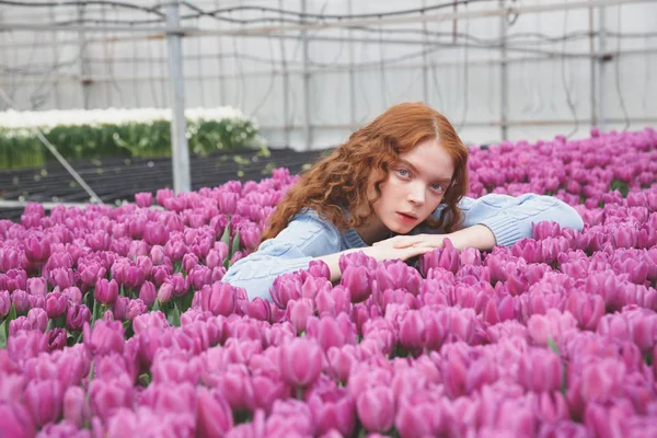 Menina deitada em tulipas — Fotografia de Stock