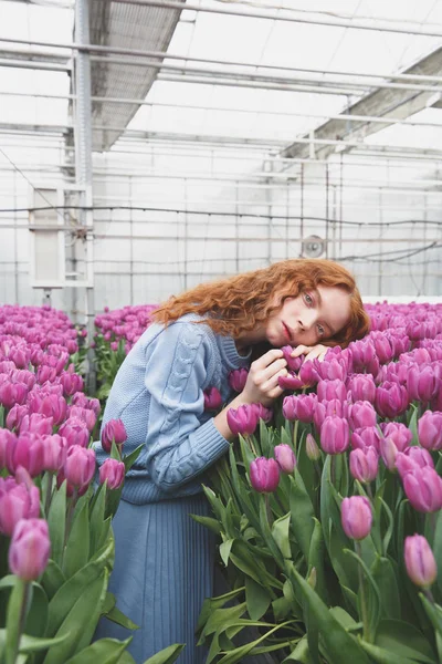 Chica acostada en tulipanes — Foto de Stock