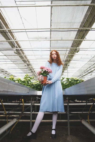 Tiro de comprimento total de menina com planta — Fotografia de Stock