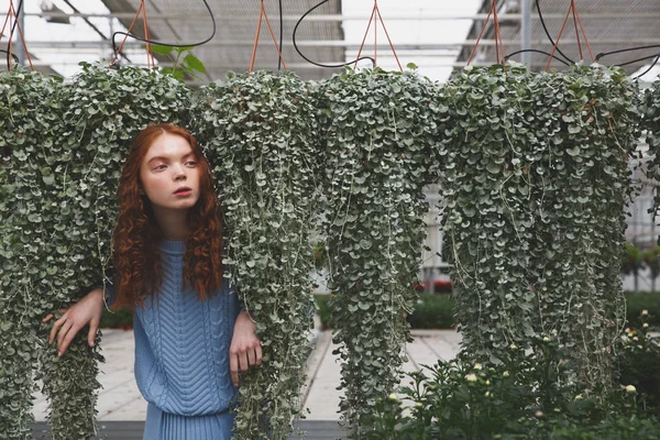 Mädchen versteckt sich hinter grünen Pflanzen — Stockfoto