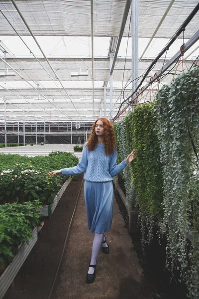 Menina andando em orangery — Fotografia de Stock