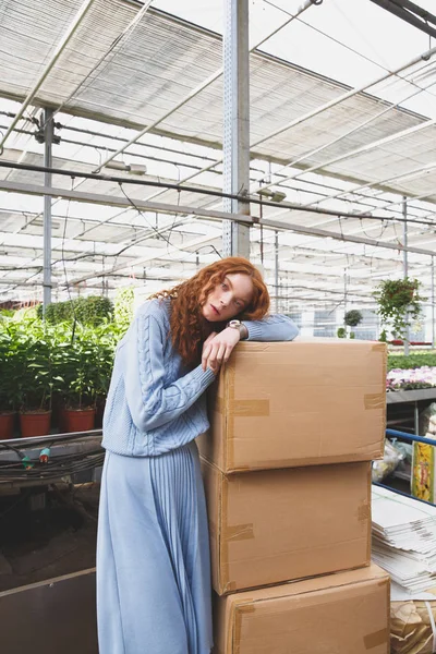 Chica acostada en cajas en invernadero — Foto de Stock