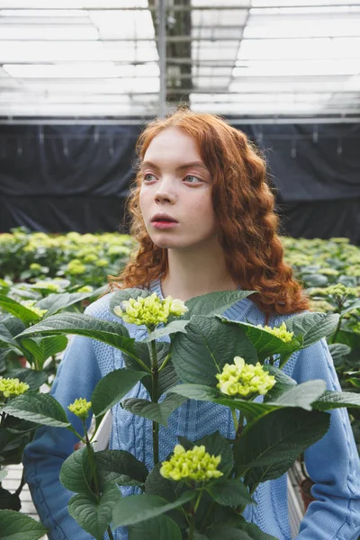 Девушка с зеленым растением Лицензионные Стоковые Фото