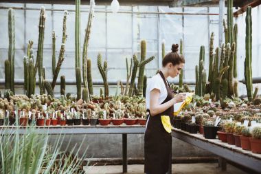 Ciddi genç bayan Pano tutan serada ayakta