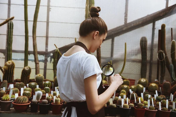 Jovem mulher concentrada em pé em estufa perto de plantas — Fotografia de Stock