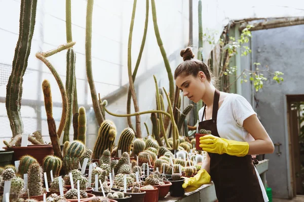 Jeune femme sérieuse debout dans une serre près des plantes — Photo