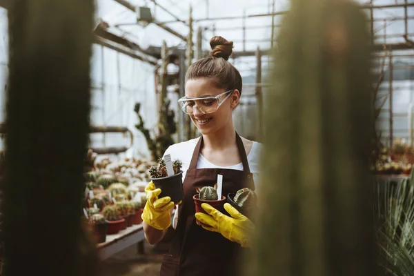 Счастливая юная леди в очках, стоящая в оранжерее возле растений . — стоковое фото