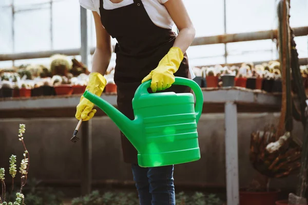 Senhora em pé em estufa perto de plantas com vaso de derramamento de mão . — Fotografia de Stock