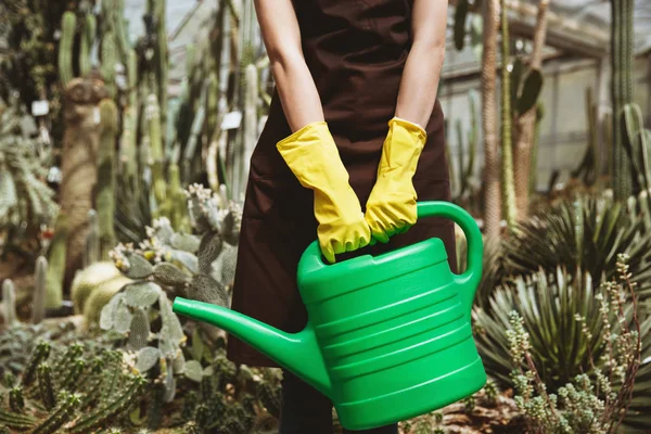Cropped image of lady standing in greenhouse — Stock Photo, Image