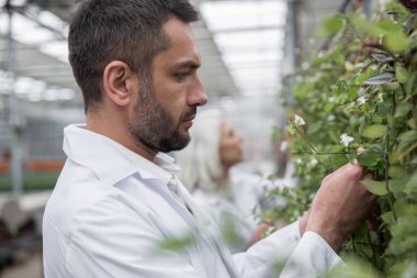 Yakışıklı genç ve Olgun kadın serada ayakta