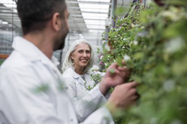Yakışıklı genç ve Olgun kadın serada ayakta
