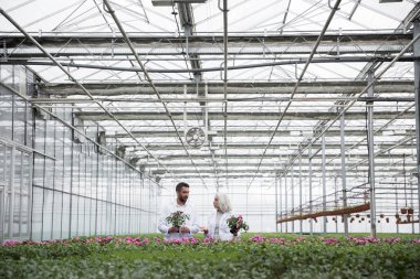 Sakallı adam Olgun kadın ile sera içinde ayakta