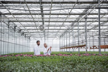 Sakallı adam Olgun kadın ile sera içinde ayakta