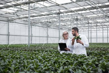 Olgun kadın ve genç erkek konsantre