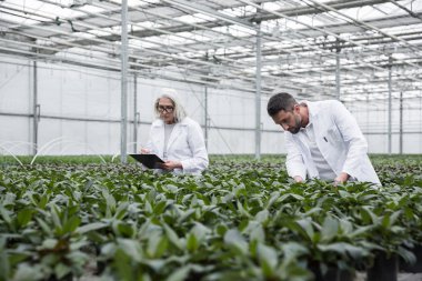 Ciddi genç adam ve serada ayakta Olgun kadın