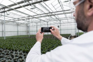 Genç adam serada ayakta kırpılmış görüntü