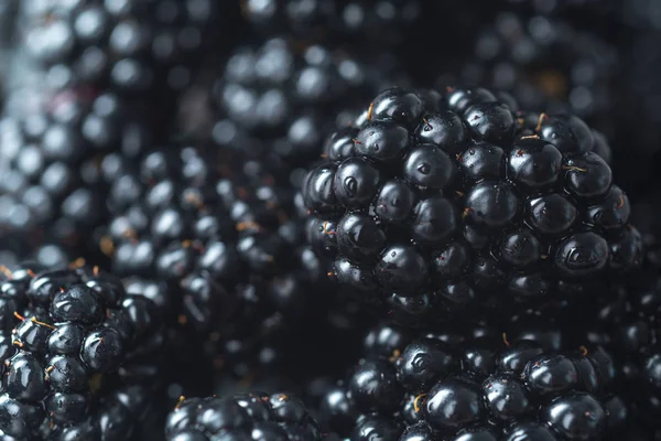 Mulberry. Focus selected. Macro. — Stock Photo, Image