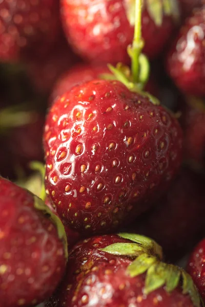 Mükemmel olgunlaşmış taze çilek. Makro.