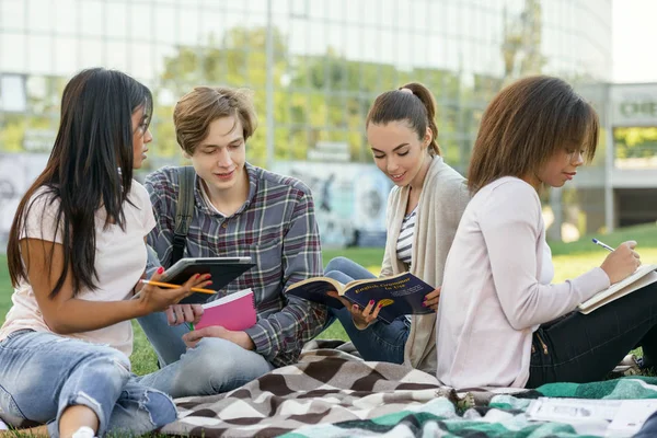 Estudiantes concentrados estudiando al aire libre . — Foto de Stock