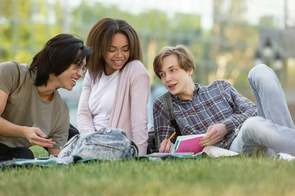 Feliz grupo de estudiantes multiétnicos que estudian al aire libre — Foto de Stock