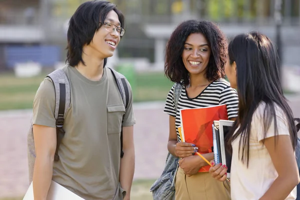 Багатоетнічна група молодих усміхнених студентів, що стоять і говорять — стокове фото