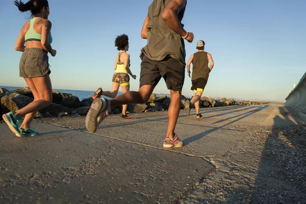 Baksidan på en grupp unga sportiga vänner jogging — Stockfoto