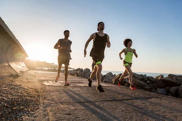 Grupp av löpare som tränar utomhus tillsammans för maraton — Stockfoto