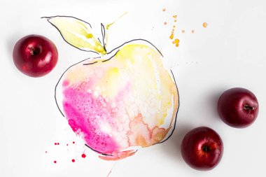 Beyaz bir arka plan üzerinde izole renkli sulu boya çizilmiş elma