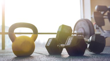 Halter katta fotoğrafı.