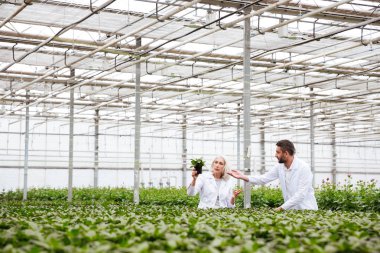 Bahçıvan bitki meslektaşı elinde gösteren genç adam