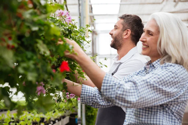 Trabalhadores alegres no jardim olhando e tocando plantas — Fotografia de Stock