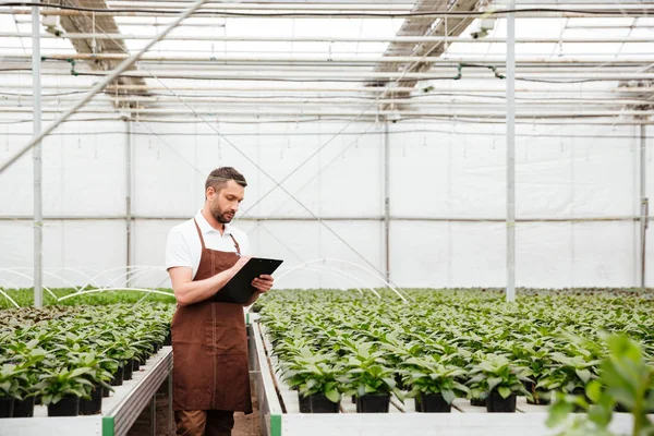 Trabajador joven haciendo investigación con plantas — Foto de Stock