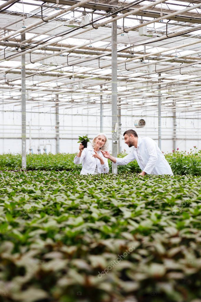 Young man gardener pointing at plant in hands of his colleague