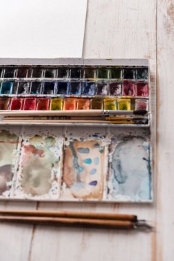Görüntü boya kovaları ve izole fırçalar