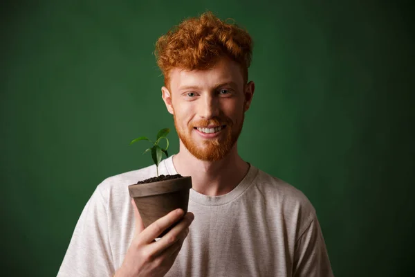 Photo of handsome redhead bearded young man, holding potted plan — Stock Photo, Image