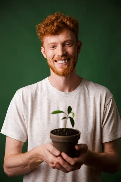 Cheerful handsome redhead bearded young hipster, holding potted — Stock Photo, Image