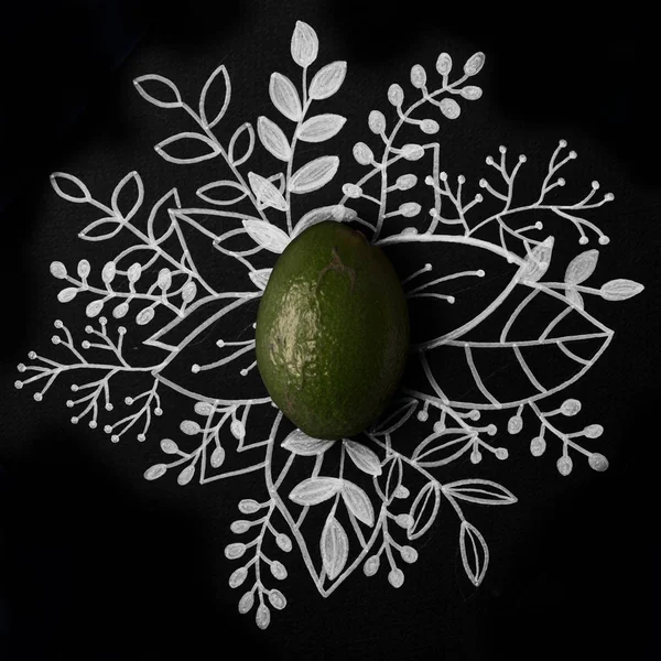 Авокадо над контуром, нарисованный цветочной рукой — стоковое фото