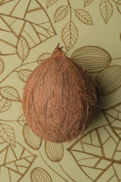 Noix de coco isolées — Photo