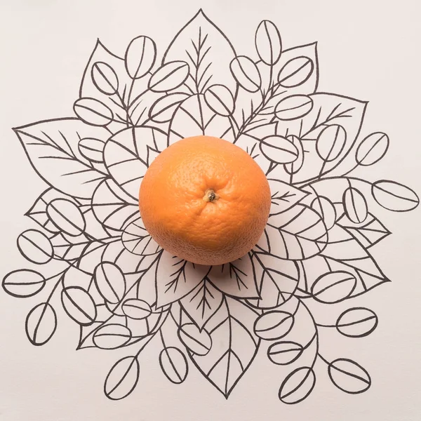 Fruit orange sur fond floral contour — Photo