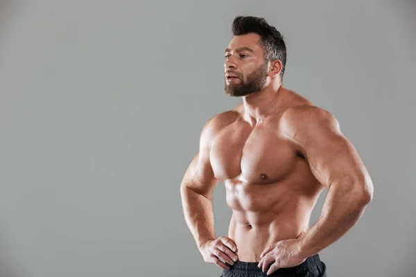 Porträt eines gesunden, starken, hemdlosen männlichen Bodybuilders — Stockfoto