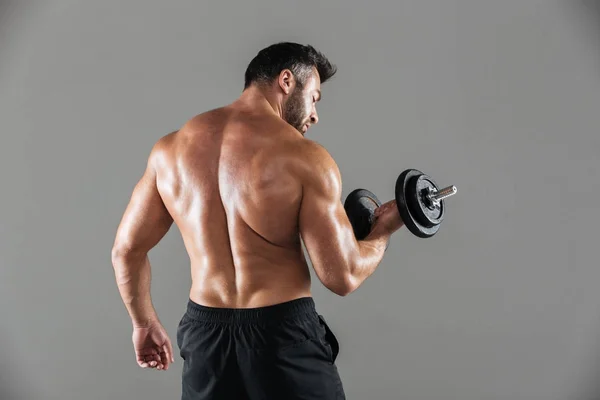 Back view portrait of a muscular strong shirtless male bodybuilder — Stock Photo, Image