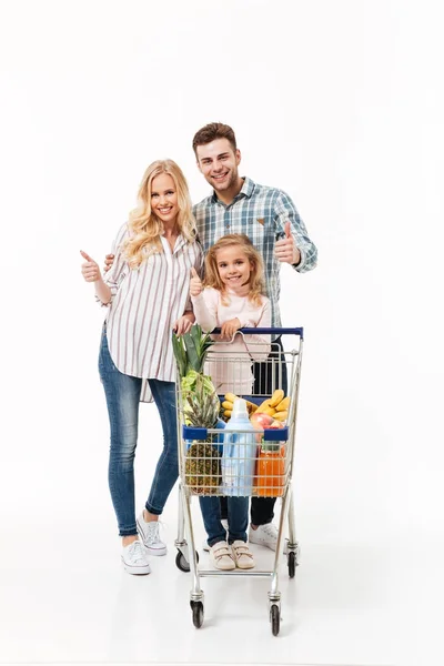 Full length portrait of a happy family — Stock Photo, Image